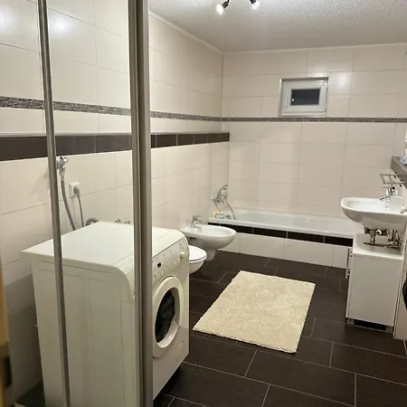 Schoene Ferienwohnung Bodenseeregion Singen Exterior photo