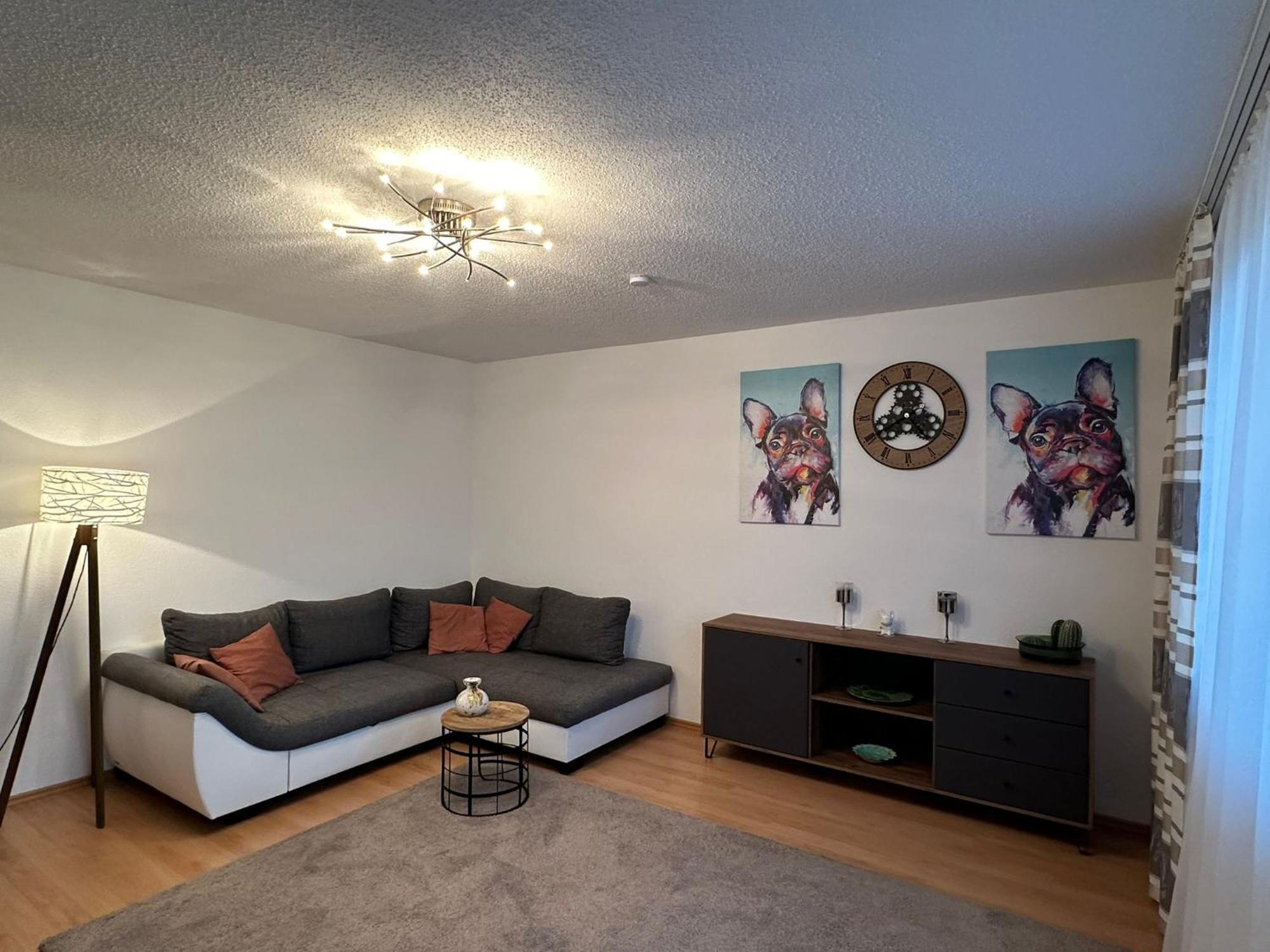 Schoene Bodenseeregion Apartment Singen